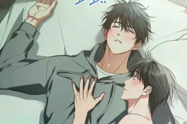 Lee el Manhwa BL Hit Me Hard Full Capítulo en Español, ¡Con La Nueva Actualización De La Sinopsis!