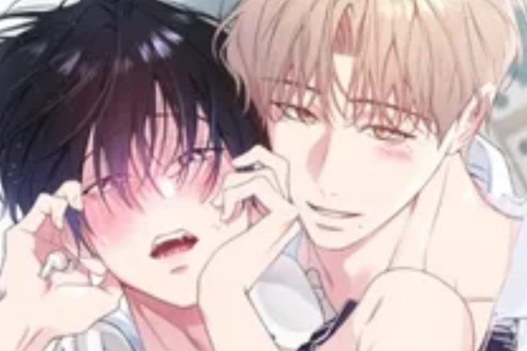 Lista Completa de los Capítulos del Manhwa BL Las Frecuencias del Primer Amor en Español, Romances Dulces