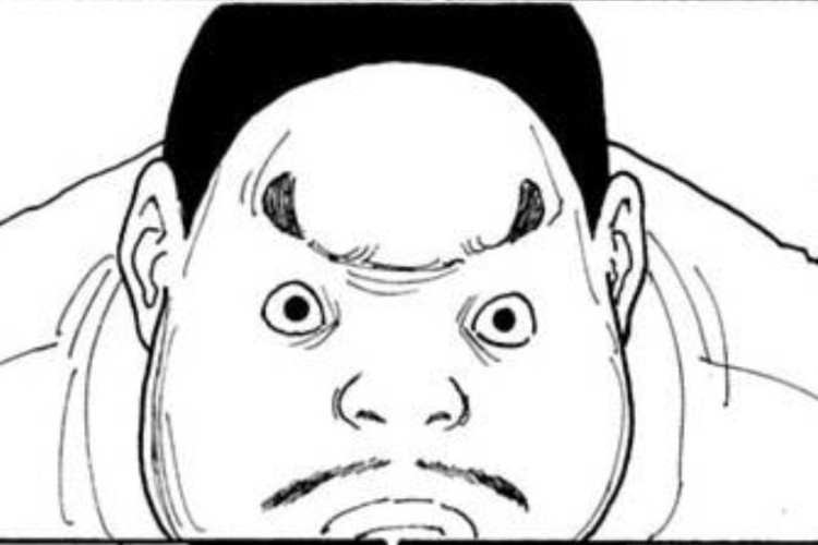 Spoilers Completos del Capítulo 415 del Manga Hunter X Hunter en Español, ¡RAW! Más Allá de la Posible Maldición de Netero