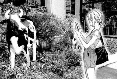 Spoiler & Leer el Manga Kanojo, Okarishimasu Capítulo 430 en Español, ¡Ruka se sonroja de vergüenza!